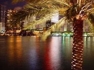 Miami at Night
