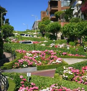 Lombard Street, the World's Crookedest Street
